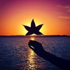 Hoàng Văn Lộc avatar